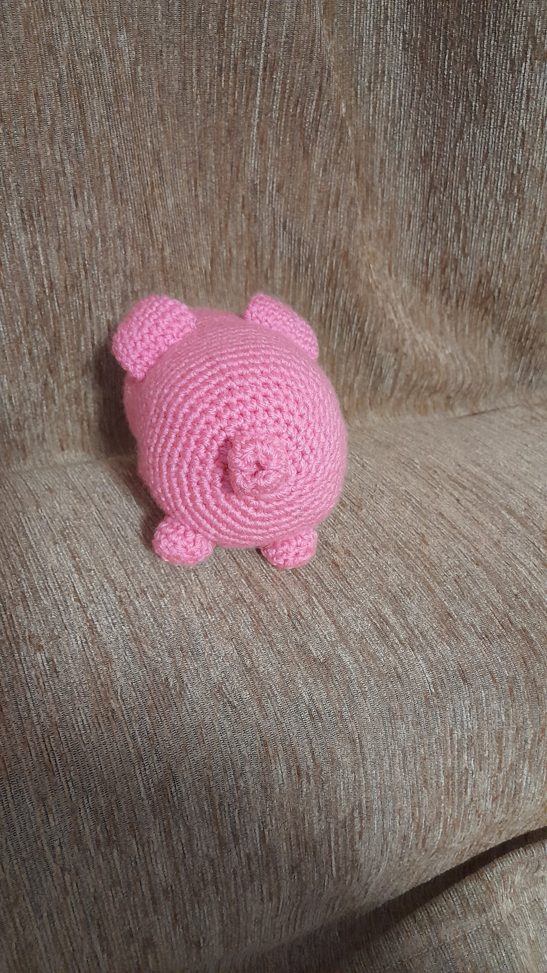 Cerdito - 3